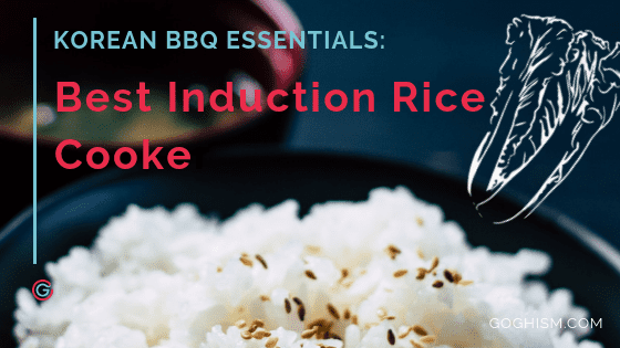 Best Induction Rice Cooker Feature Pic